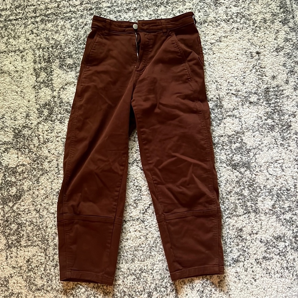 Everlane The Utility Barrel Pant